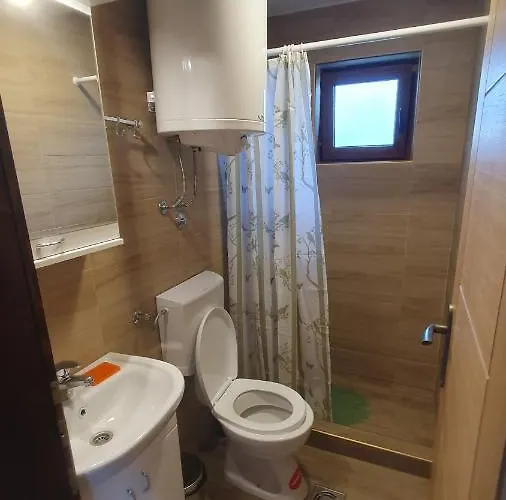 Kimovi Vajati * Kostunici