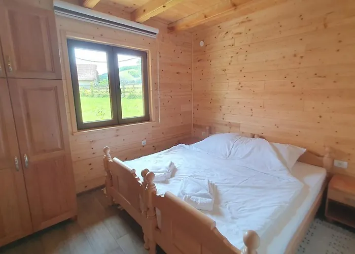 Kimovi Vajati * Kostunici