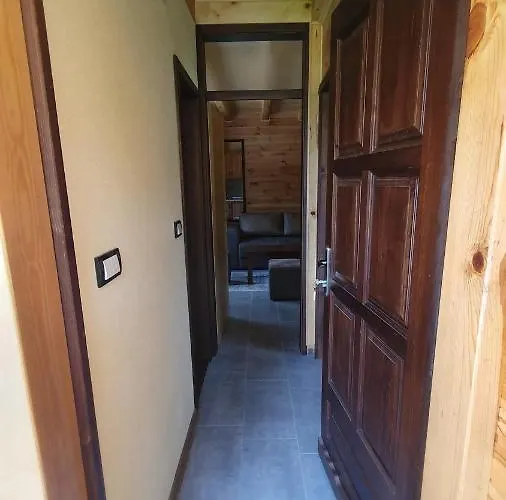 Kimovi Vajati Kostunici